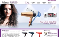 廣州平迅家用電器有限公司
