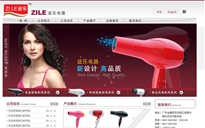 揭陽(yáng)市試驗(yàn)區(qū)溪南茲樂(lè)電器廠