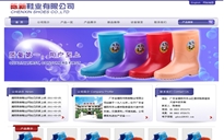 廣東省揭陽(yáng)市陳新鞋業(yè)有限公司